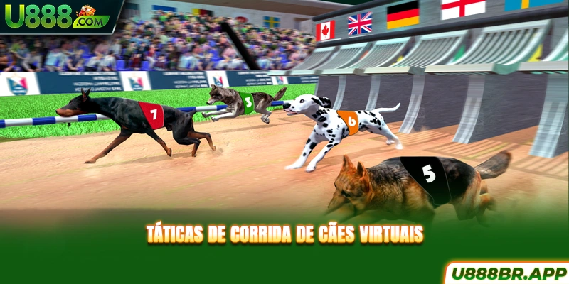 taticas-de-corrida-virtual-de-caça-a-caes