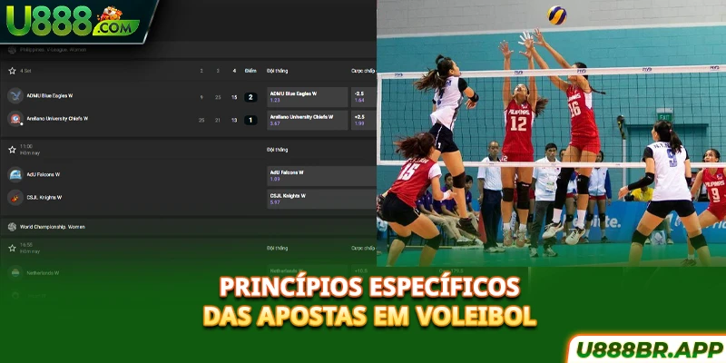principios-especificos-das-apostas-em-voleibol