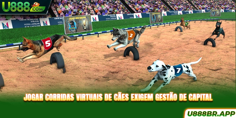 jogar-corridas-virtuais-de-caes-exigem-gestao-de-capital