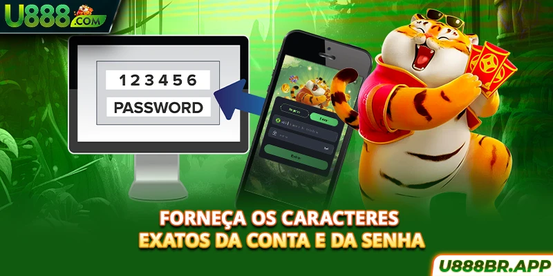 forneça-os-caracteres-exatos-da-conta-e-da-senha