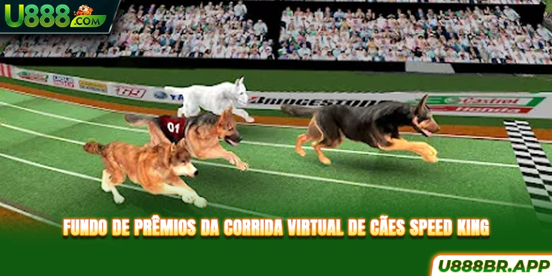 fundo-de-premios-da-corrida-virtual-de-caes-speed-​​​​king