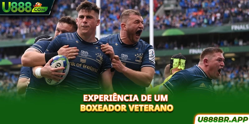 experiencia-de-um-boxeador-veterano-1